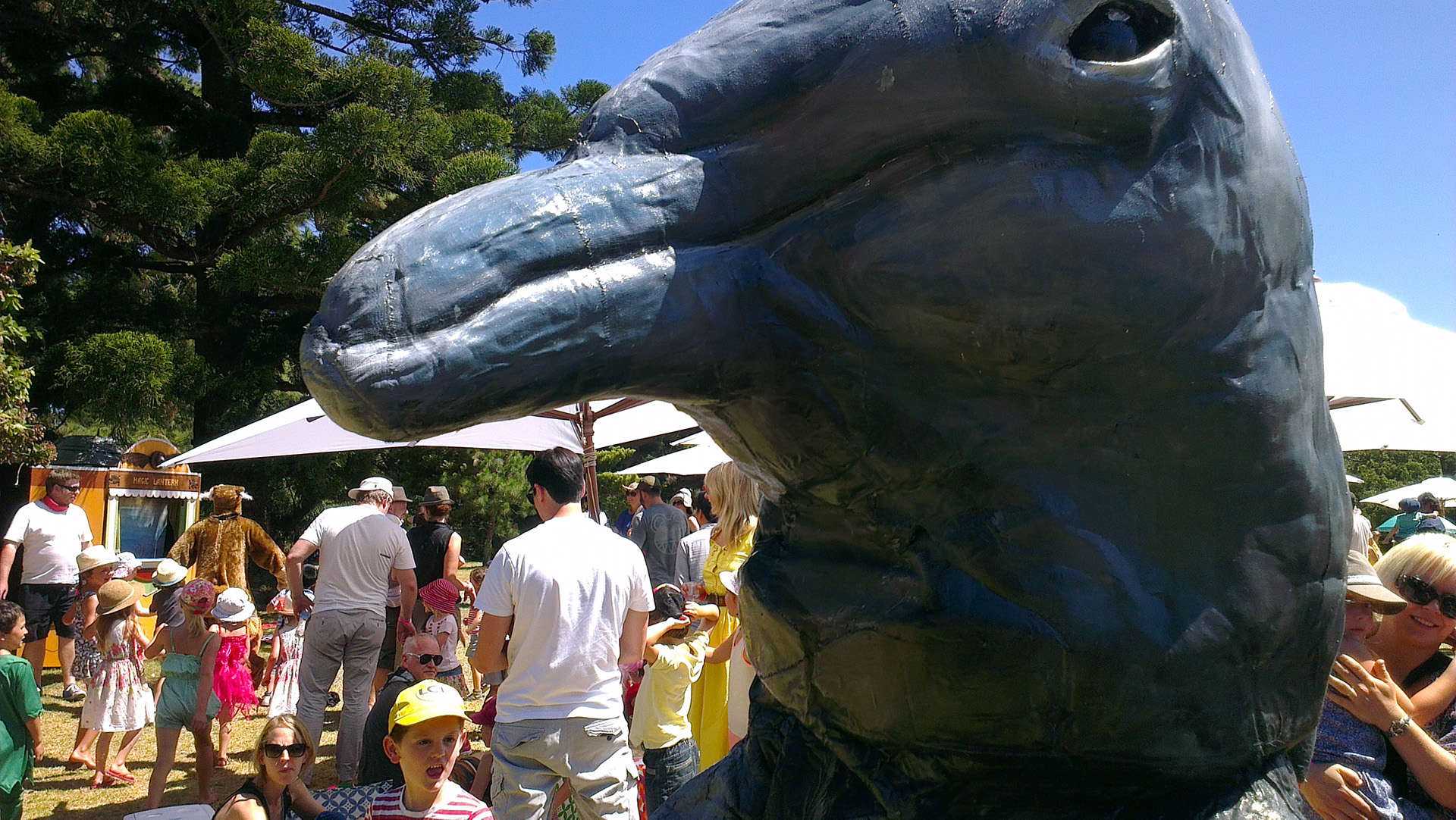 Mister Dolphin (2014)