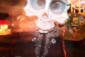 Colleen Burke presents 'The Skulls'