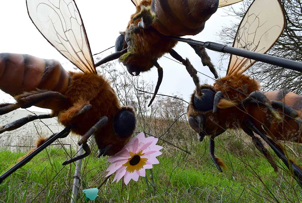 Giant Bugs