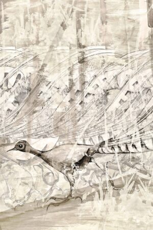 PLAIN Lachlan_The Lyre Birds Tale_W43CM H64CM_2013